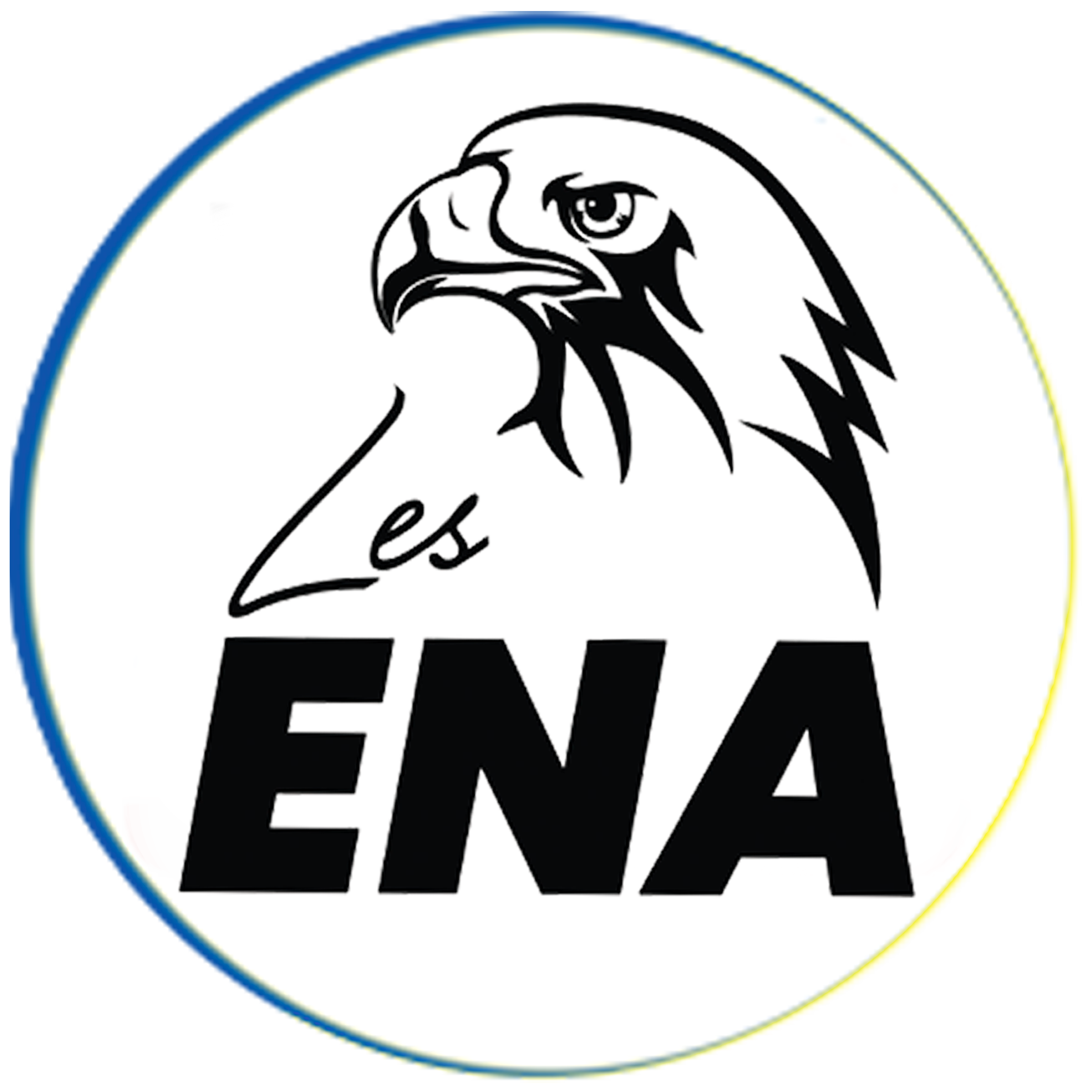 LesENA Logo